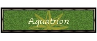 Aquatrion