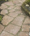 Oland flagstones